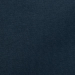 Blue Navy
