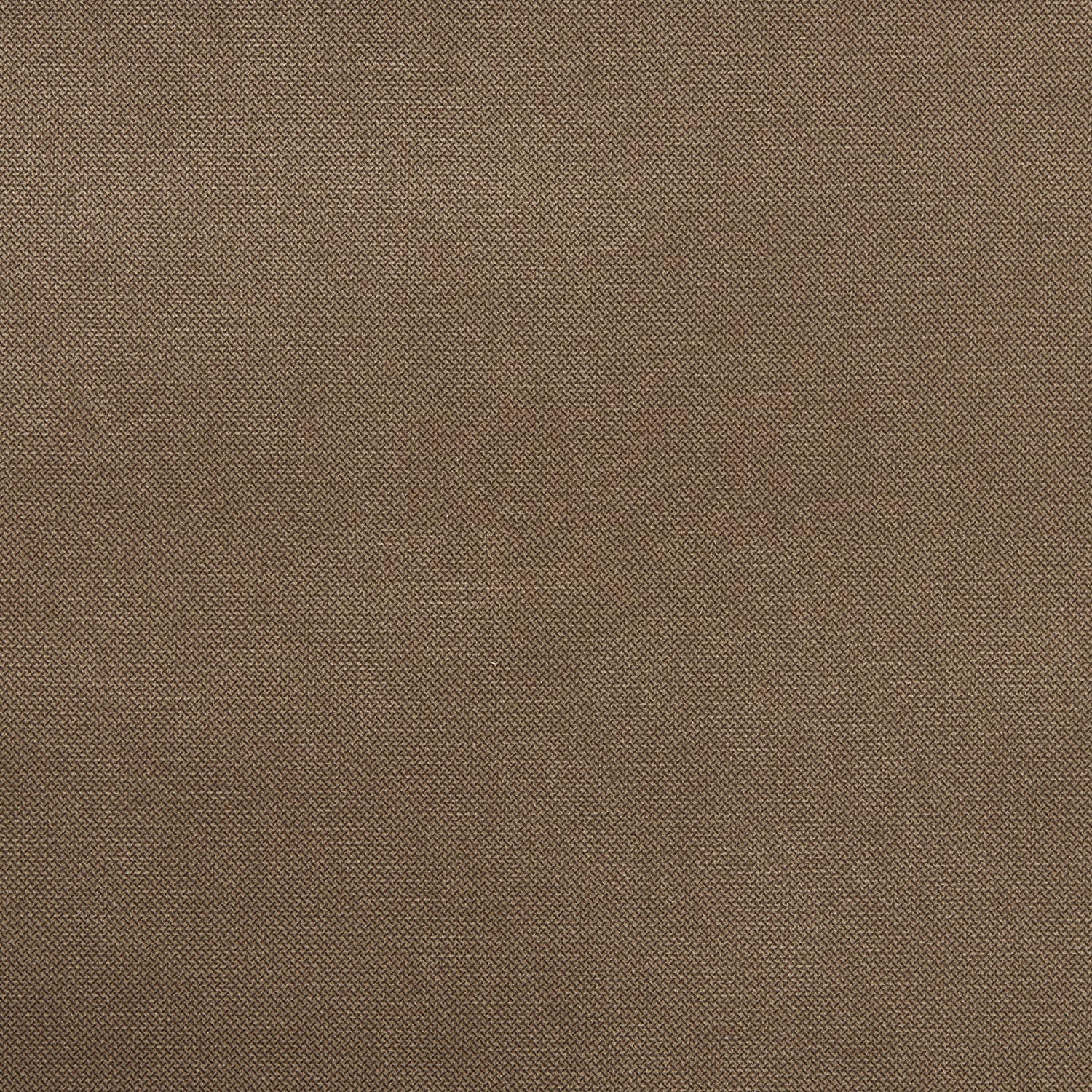 beige scuro
