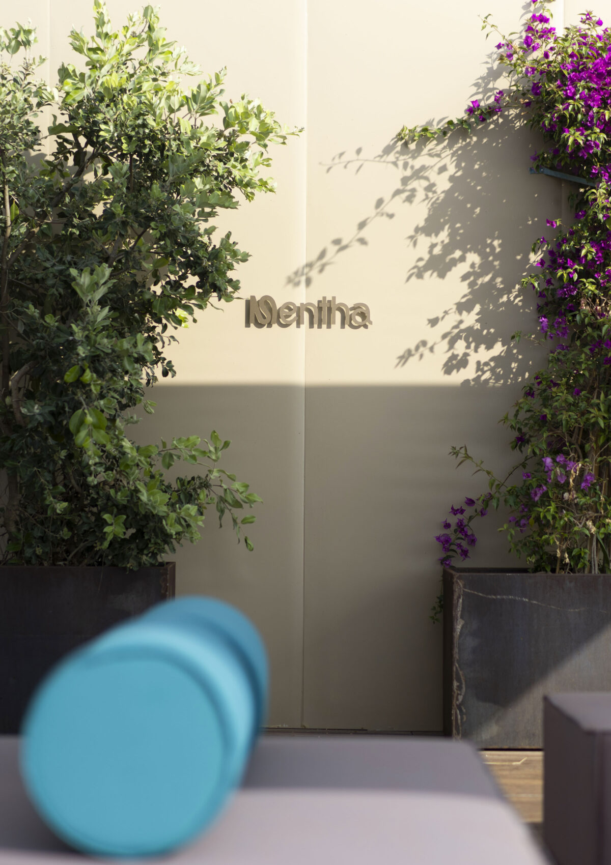 Mentha Salerno. Reef, divani modulari design - Dynamic Island